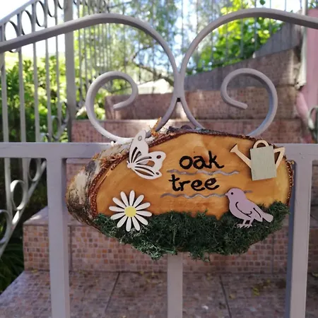 Oak Tree, Sea View Apartment, Karavomylos, Cephalonia Karavomylos