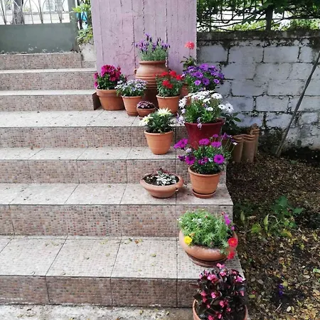Apartman Oak Tree, Sea View Apartment, Karavomylos, Cephalonia *